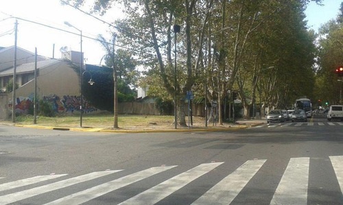 Imagen 1 de 1 de Terreno En Alquiler En Punta Chica Para Local Comercial!
