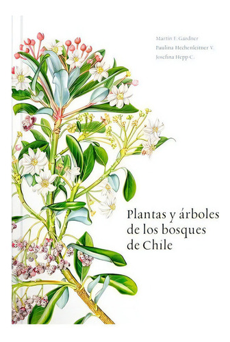 Plantas Y Arboles De Los Bosques De Chile