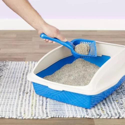 Arena Para Gatos Sanitaria Aglutinante Misifus Manzana 24 Kg