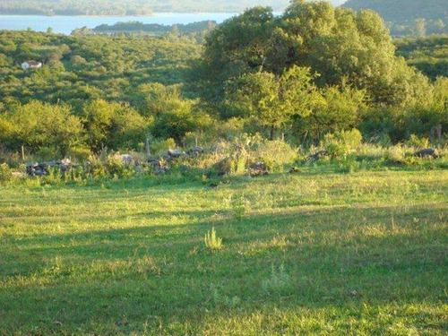 Oportunidad Casa - Villa Del Dique
