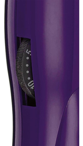 Ferro De Ceramica Cd124c