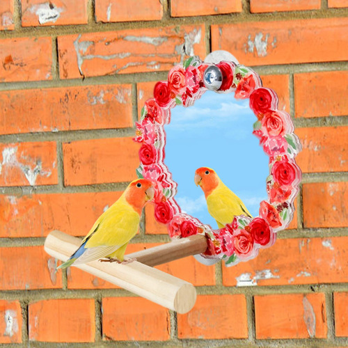 Espejo De Pájaro Con Soporte, Juguete De Espejo Fácil De