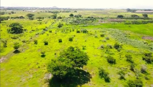 Imagen 7 de 9 de Terreno En Venta Guacara Ciudad Alianza