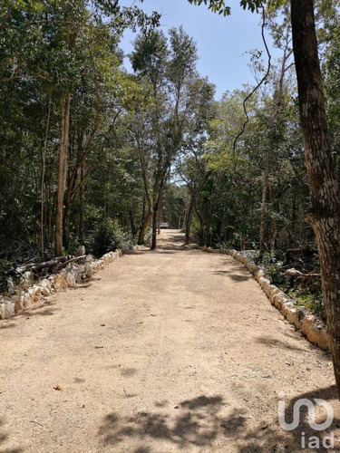 Venta Terreno 0 Ambiente Ciudad Chemuyil
