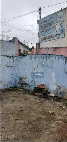Imagem 7 de 30 de Terreno À Venda Na Vila Carmosina - Te1683