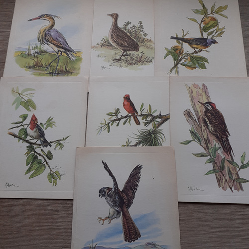 Colección De 14 Tarjetas Serie Aves -1956 1º Exposición