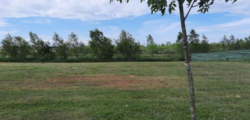 Imagen 2 de 11 de Oportunidad Lote En El Naudir