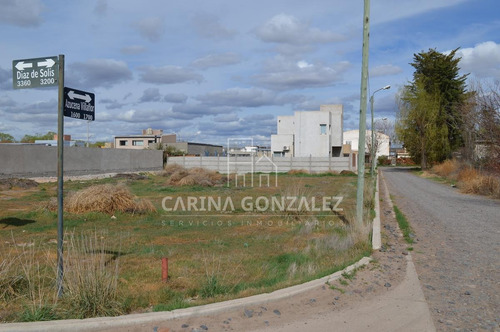 Imagen 6 de 16 de Venta Terreno 996m2 Apto Desarrollo Confluencia Rural Neuquén
