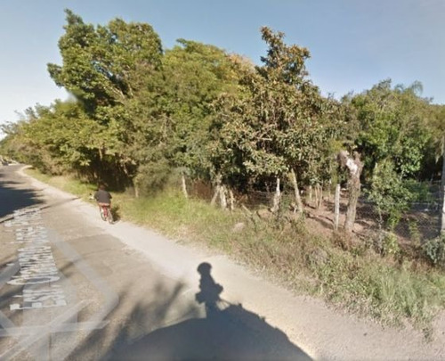 Imagem 4 de 4 de Terreno - Lami - Ref: 35864 - V-35864