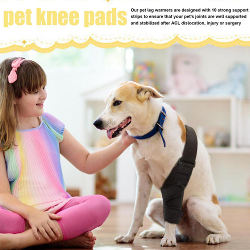 Rodillera Para Perros Soporte Para Patas Traseras De Perros