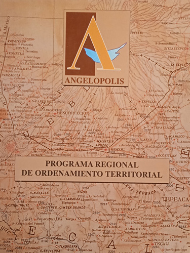 Libro Angelópolis Gráficas, Mapas, Proyecciones
