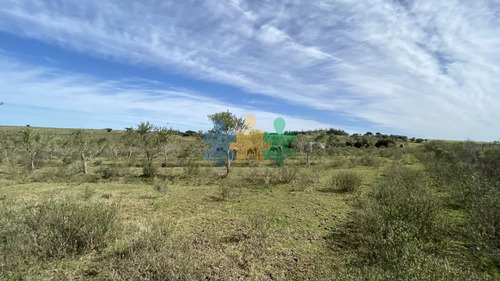 Oportunidad En Paraje Las Cañas !!! Chacra De 5 Hectareas - Ref : Eqp5523