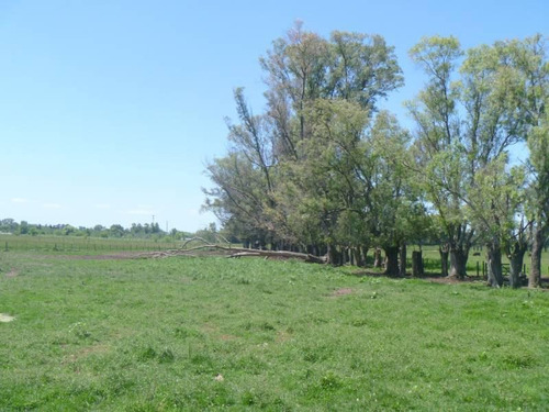 Imagen 11 de 20 de Casa Campo En Venta Ubicado En Pilar, G.b.a. Zona Norte