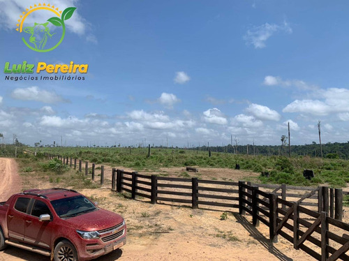 Imagem 13 de 15 de Fazenda À Venda Em Pacajá - Pa - 968 Hectares (pecuária) - 1996