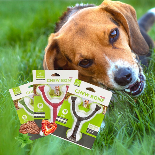 Imagen 3 de 7 de Juguete Perro Higiene Dental Mascota Sabores
