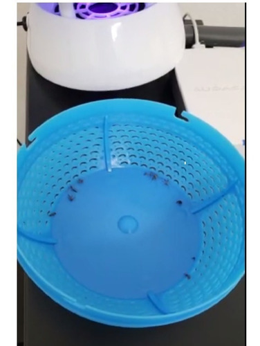 Kit 2 Armadilha Mata Mosquito Pernilongo Abajur Lampada Led