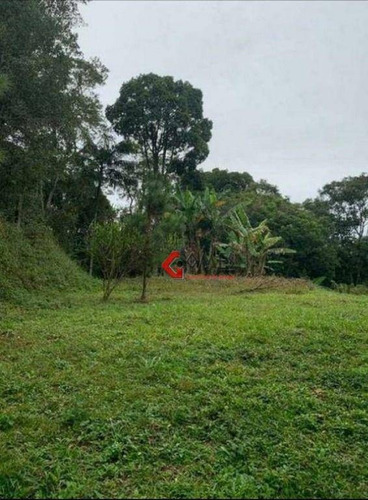 Imagem 5 de 12 de Chácara Com 5 Dormitórios À Venda, 5500 M² Por R$ 765.000 - Riacho Grande - São Bernardo Do Campo/sp - Ch0035