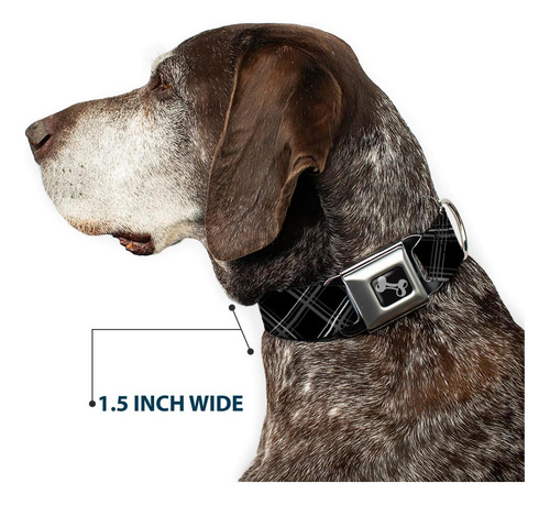 Collar De Perro Del Cinturón De Seguridad De La Hebilla X 1