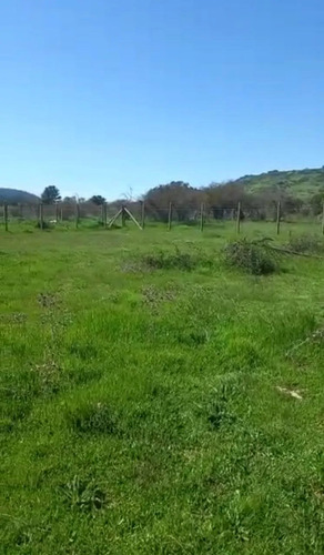 Invierte En Tu Parcela Con Luz Y Pozo, Altos De Litueche