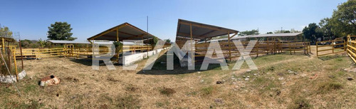 Rancho En Venta En Morelos, Tetecala