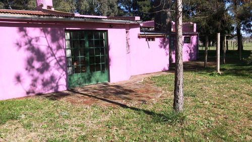 Imagen 12 de 22 de Excelente Chacra De 55 Hectareas Con Casa, Mejoras Y Luz Electrica En Las Flores
