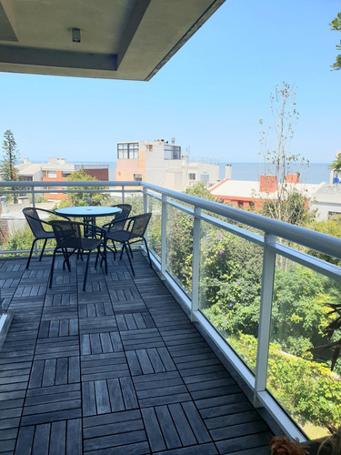 Imagen 14 de 14 de Excelente Planta Premium En La Mejor Zona De Punta Gorda.