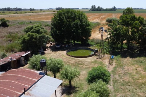 Chacra De 16,36 Has En Cazon, Partido De Saladillo Pcia. Bs. As.