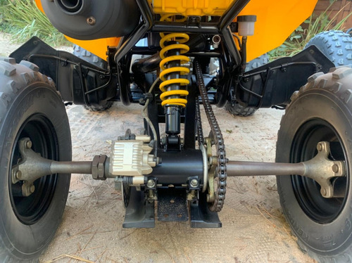 Can-am Ds 250
