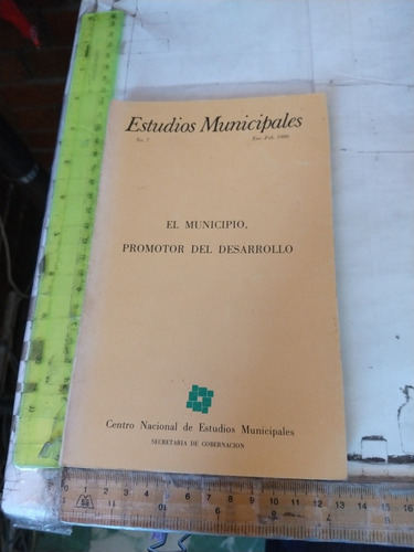 Estudios Municipales Cnem Secretaría De Gobernación