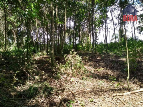 Terreno À Venda, 2170 M² Por R$ 130.000,00 - Parque Germânia - Mairiporã/sp - Te0346