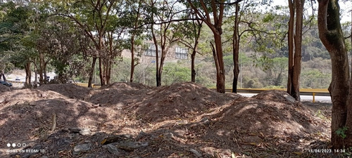 Jc - Terreno 8.000 M2. Alquiler O Venta. Frente A La Autopista Regional Del Centro - Paracotos. Edo Miranda