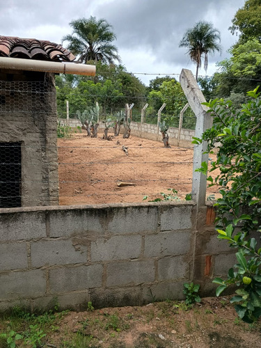 Chácara Com Casa Três Quartos Sala De Estar Cozinha E Dois B