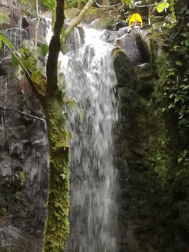Imagen 1 de 4 de Vendo Finca