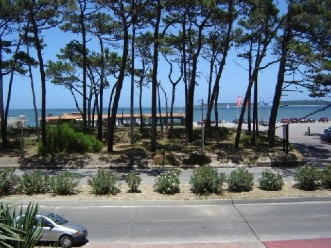 Venta De Apartamento 3 Dormitorios En Playa Mansa