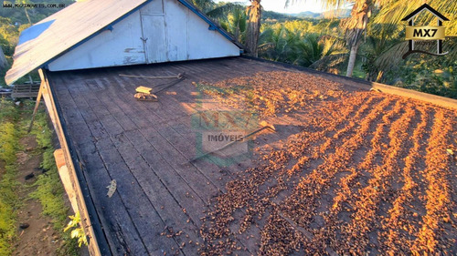 Imagem 8 de 15 de Fazenda Para Venda Em Ubaitaba, Zona Rural - 735_1-2090601