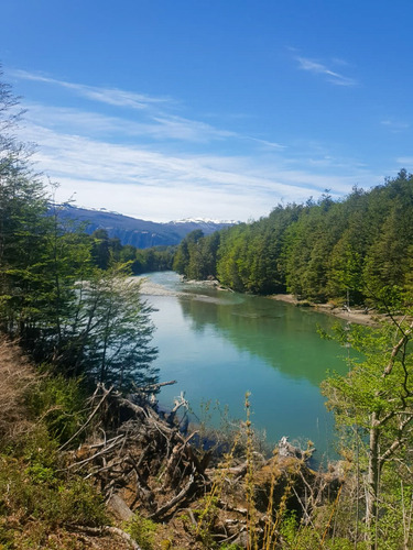 Campo De 297 Hectáreas Cercano A Cerro Castillo Con Río