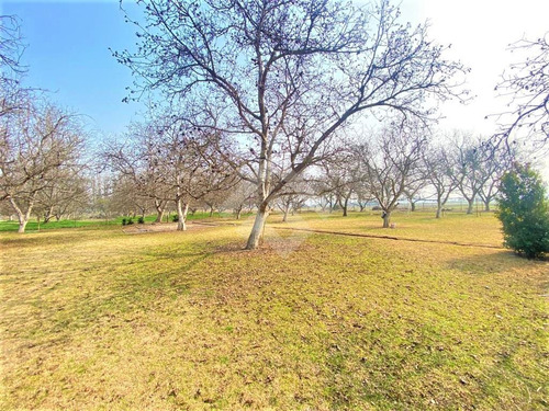 Casa En Arriendo De 6 Dorm. En Colina