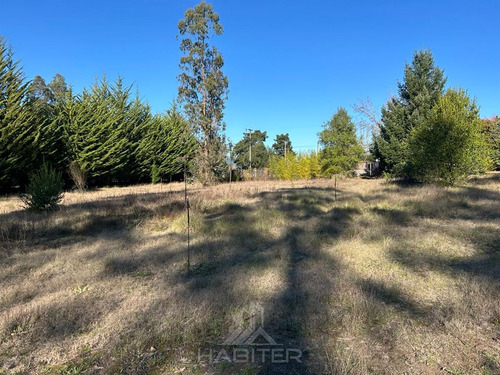 Arriendo Sitio Urbano Comercial 5.000 M2 Sector Patagual