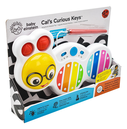 Juguete Musical Xilofono 16 Melodias Con Luz Baby Einstein