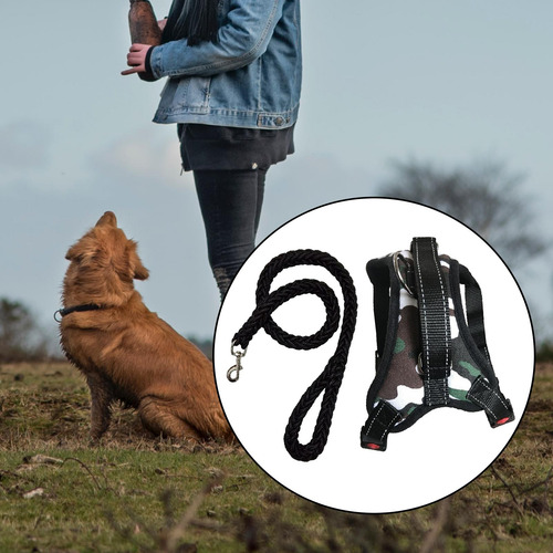 Arnés Para Perros Y Correa Para Perros Collar Ajustable M