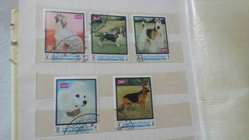 Sellos Postales Yemen Sobre Perros