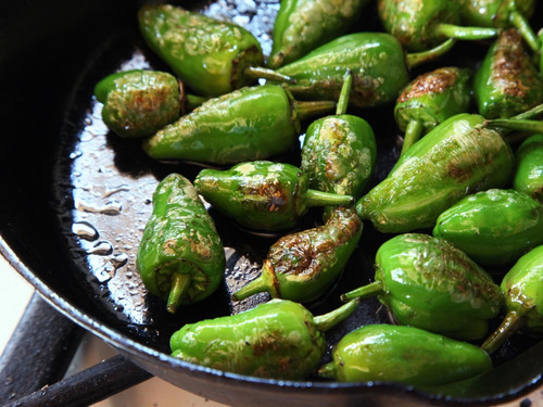 Pimenta Padron Ou Roleta Pimienta De Tapas Sementes P/ Mudas