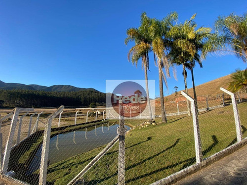 Imagem 6 de 30 de Fazenda Com 40 Alqueires Paulista À Venda, 968000 M² Por R$ 3.800.000 - Lagoinha/sp - Fa0008