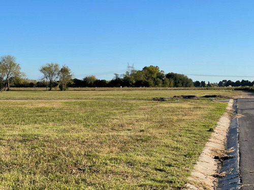 Imagen 3 de 22 de Venta Lotes Los Olmos C/ Financiacion