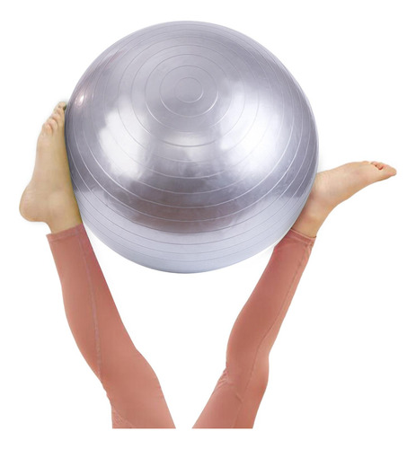 Pelota De Pelota De Ejercicio Pelota De 55cm Plata