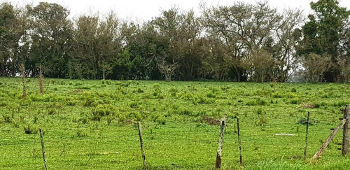 Imagen 11 de 21 de Campo En General Madariaga-