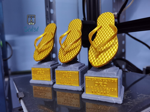 Trofeo Chancla De Oro Impreso En 3d! Gris (Usado)
