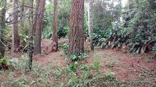 Imagem 26 de 30 de Rural Para Venda, 5 Dormitórios, Santana - Cotia - 20534