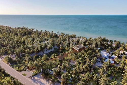 Imagen 26 de 30 de Proyecto De Lotes Residenciales En Telchac Puerto, Yucatán