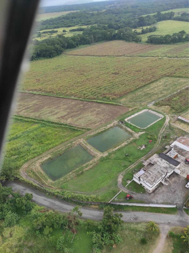 Imagen 13 de 14 de Granja De 45 Hectáreas , Totalmente Planas Vega De Río